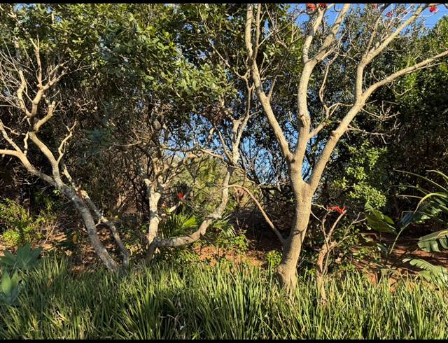 848M² VACANT LAND FOR SALE IN SHEFFIELD BEACH